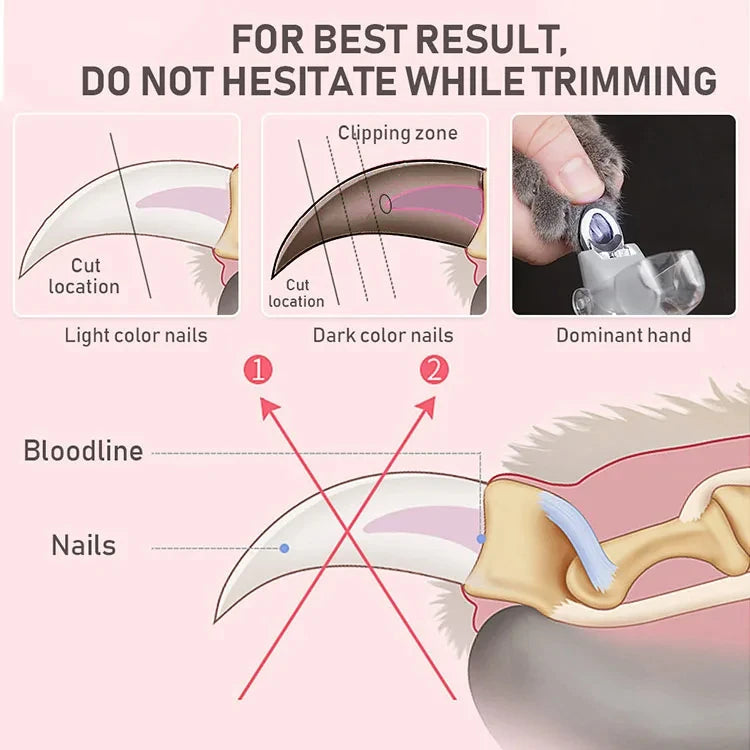 Professional Pet Nail Clipper Scissors With LED Light Cat Dog Nail Clippers Tool Scissors Nail Toeclaw Cutter Scissors Pet Suppl Ai-TechWorld