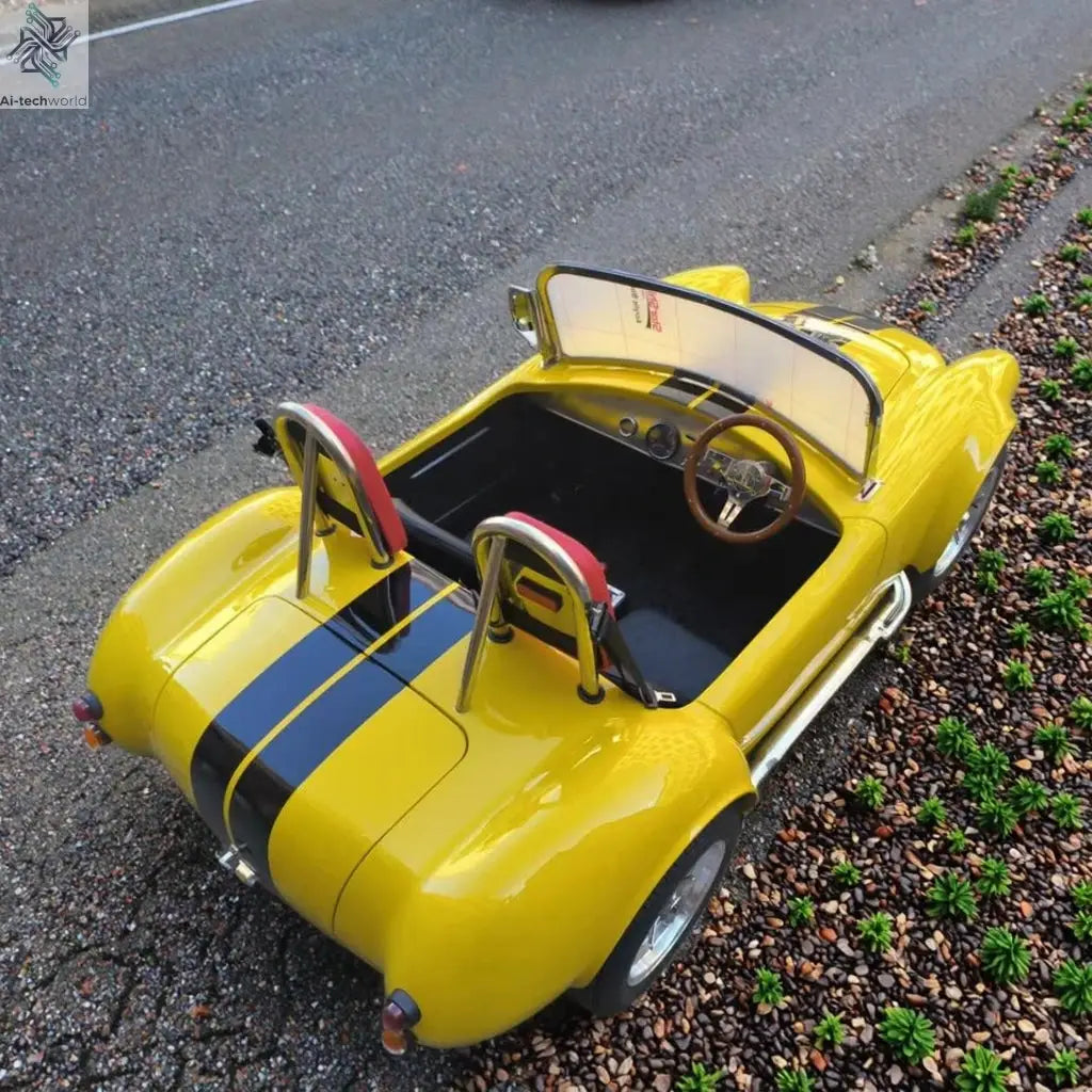 2200W Brushless Motor Pro Cobra Cart Double Seats Electric Go Karts Adults Teens 50km/h Max Speed Disc Brake Ai-TechWorld 