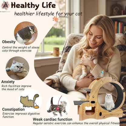 55-inch cat Wheel, 6-in-1 cat Wheels for Indoor Cats, Scratching Board, Detachable mat, Multi-Functional Indoor Pet /Training - Ai-TechWorld