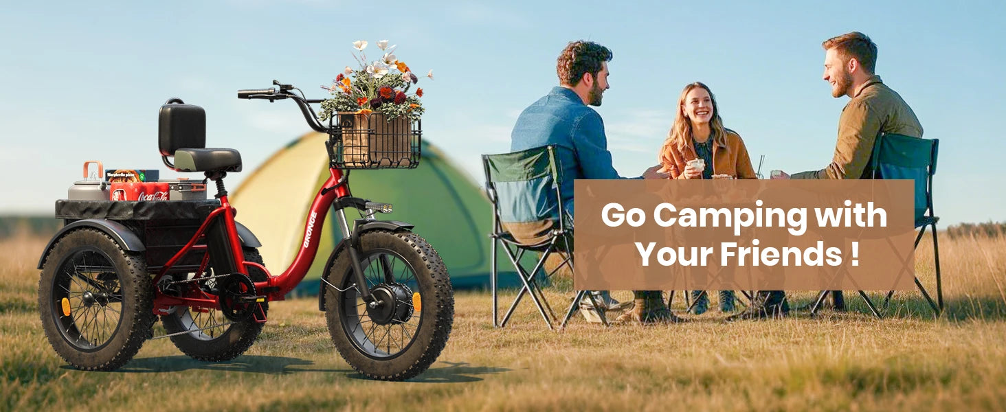 QRONGE Electric Bike for Adults 960W Peak 36V 13.5AH Battery Folding Electric Tricycle 50 Miles Range Fat Tire Electric Trike Ai-TechWorld 