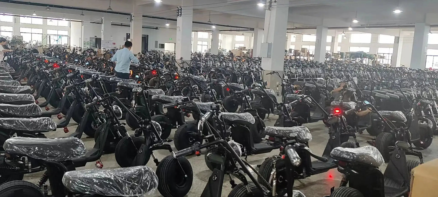 Citycoco Electric Scooter 4000W Powerful Motor Max Speed 60-70KM/H 60V25AH Battery Charging Mileage 40-60KM Max Load 250KG - Ai-TechWorld