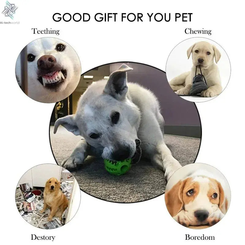 Dog Toy Ball Interactive Rubber Balls Puppy Chewing Toys Pet Tooth Cleaning Ball Cats Pets Food Treat Feeder Silicone Balls Toy Ai-TechWorld 
