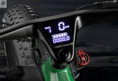 Electric Bike SR6 750W motor 48V16AH Battery Adult Electric Bicycle Hydraulic Brake 26 Inch Fat Tire mountainoff-road E-bike Ai-TechWorld 