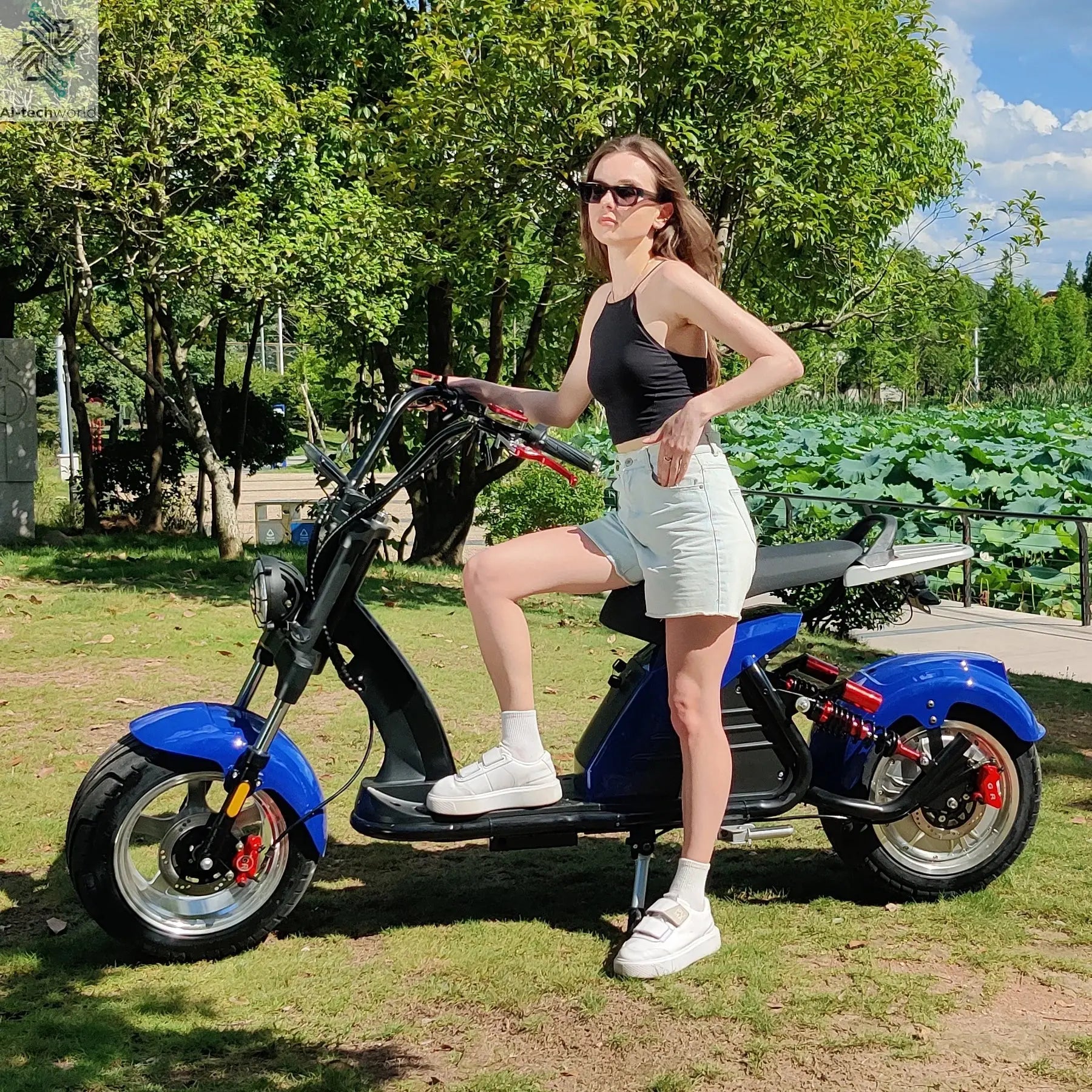 Fat Tire Electric Scooter Adult Citycoco with 2 Seat Power Scooter 60V 4000W E-Bike Ai-TechWorld 