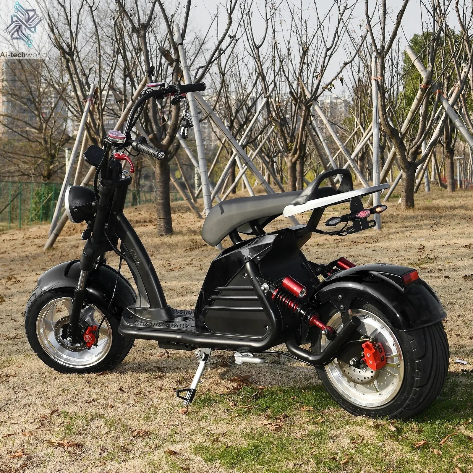 Fat Tire Electric Scooter Adult Citycoco with 2 Seat Power Scooter 60V 4000W E-Bike Ai-TechWorld 