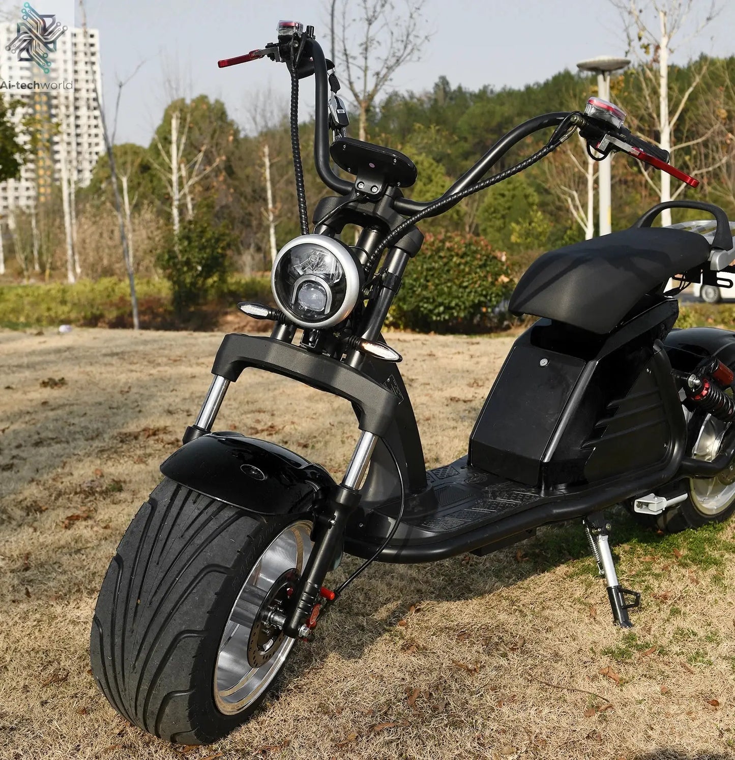 Fat Tire Electric Scooter Adult Citycoco with 2 Seat Power Scooter 60V 4000W E-Bike Ai-TechWorld 