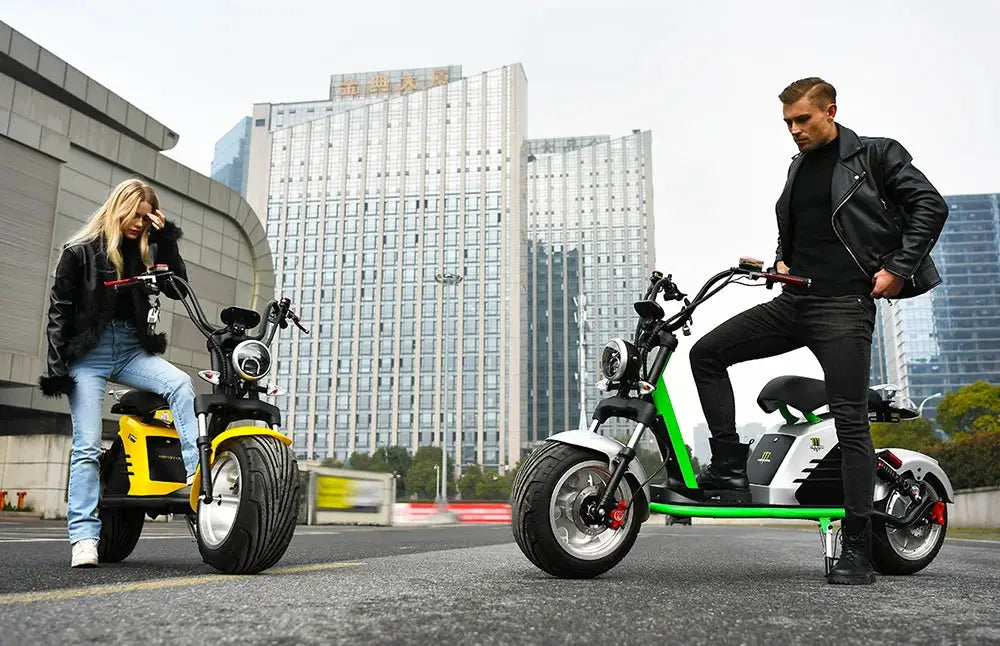 Fat Tire Electric Scooter Adult Citycoco with 2 Seat Power Scooter 60V 4000W E-Bike Ai-TechWorld 