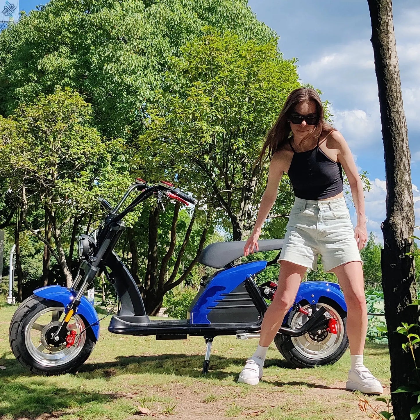 Fat Tire Electric Scooter Adult Citycoco with 2 Seat Power Scooter 60V 4000W E-Bike Ai-TechWorld 