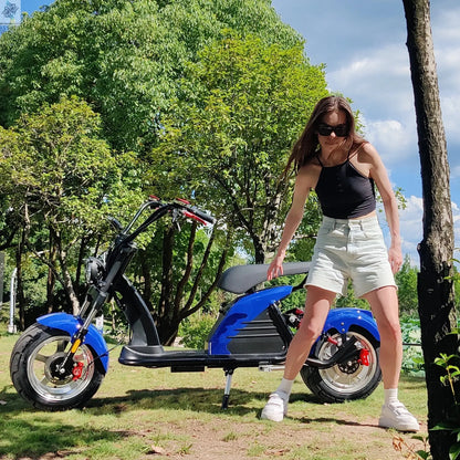 Fat Tire Electric Scooter Adult Citycoco with 2 Seat Power Scooter 60V 4000W E-Bike Ai-TechWorld 