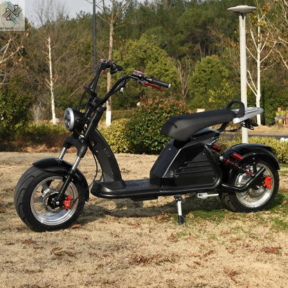 Fat Tire Electric Scooter Adult Citycoco with 2 Seat Power Scooter 60V 4000W E-Bike Ai-TechWorld 