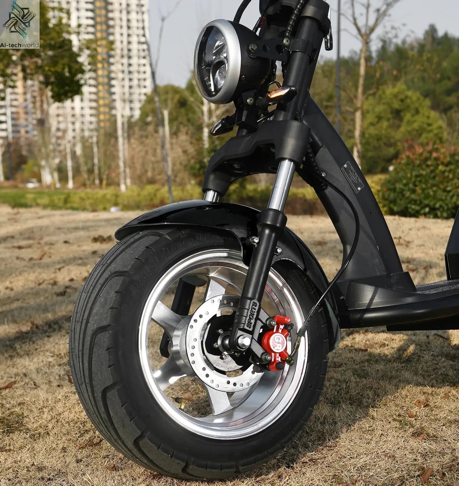 Fat Tire Electric Scooter Adult Citycoco with 2 Seat Power Scooter 60V 4000W E-Bike Ai-TechWorld 