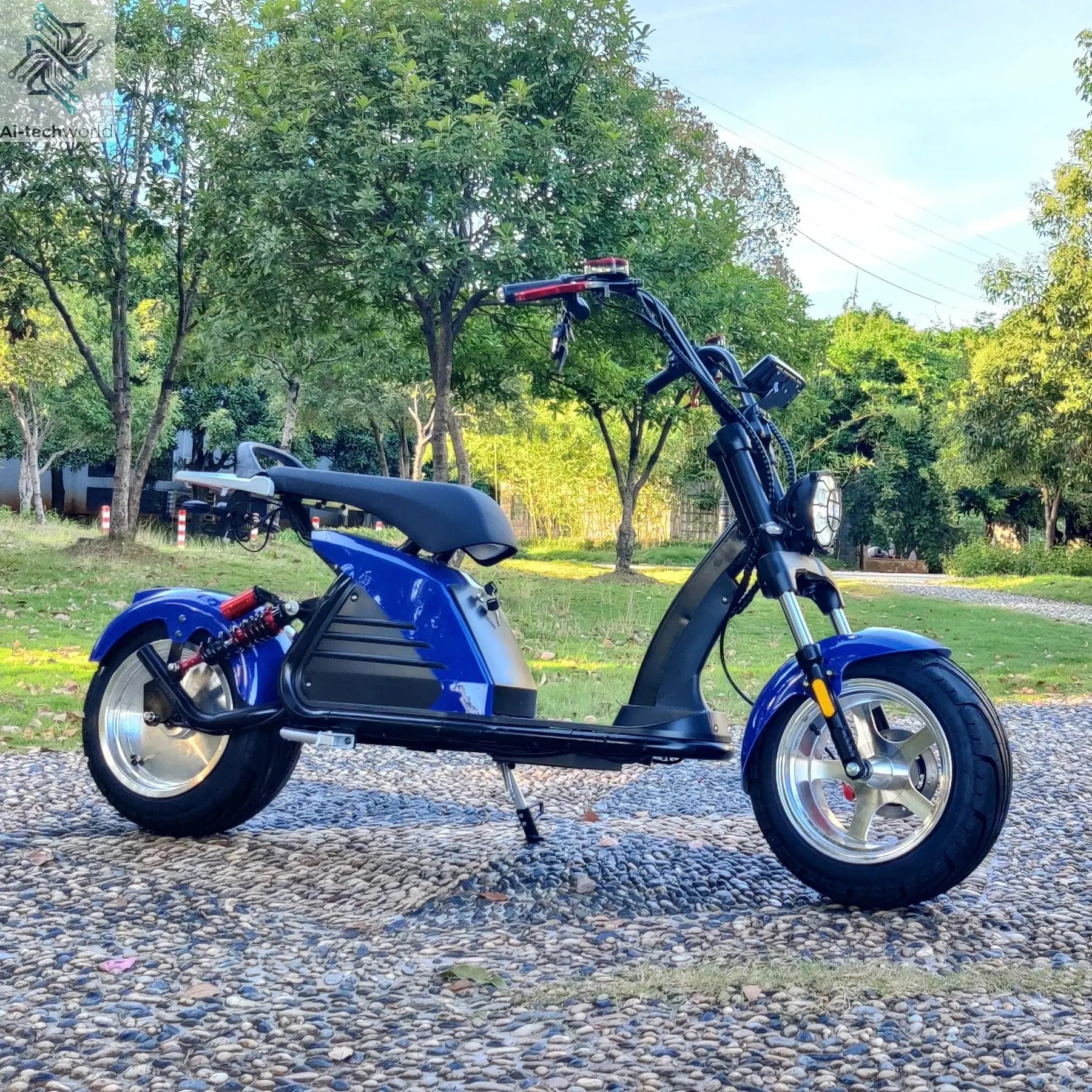 Fat Tire Electric Scooter Adult Citycoco with 2 Seat Power Scooter 60V 4000W E-Bike Ai-TechWorld 