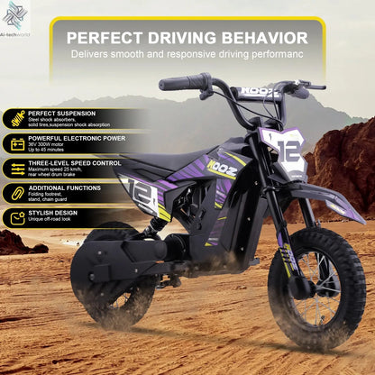 KOOZ HP122E Electric Dirt Bike 300W Motor 36V4AH Lithium Battery Electric Motorcycle Hydraulic Brake 12" Fat Tire Snow E-bike Ai-TechWorld 
