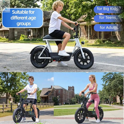 Peak 1200W Electric Scooter with Seat, 16" Fat Tire Electric Dirt Bike, Max 30Miles Ranges, Top Speed 20Mph,, Customized Ai-TechWorld 