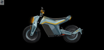 Pro 72V 95/110Kmh High Speed 2025 Electric Motorcycle Adult with EEC EPA Normal battery Range 180 km Ai-TechWorld 