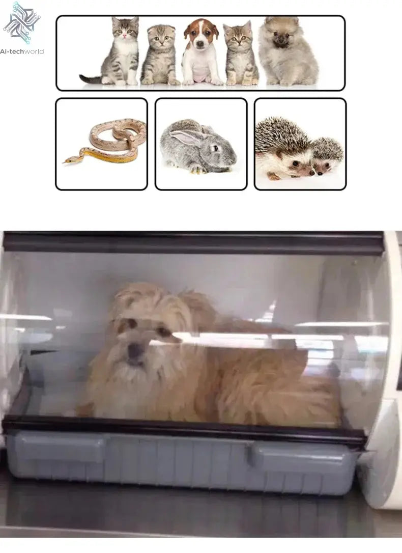 Professional Auto Adjustable Clinic Care  Hyperbaric Oxygen Chamber Animal Health Incubator with CE Ai-TechWorld 