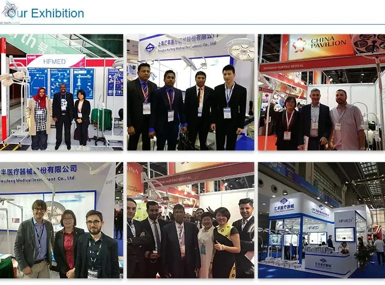 Professional Auto Adjustable Clinic Care  Hyperbaric Oxygen Chamber Animal Health Incubator with CE Ai-TechWorld 