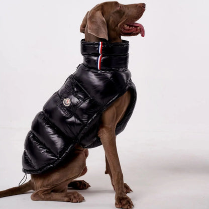 S-2XL Large Dog Winter Thick Down Coat High Collar Warm Windproof Adjustable Pet Clothes 2 Legged Padded Dog Jacket Vest Ai-TechWorld 