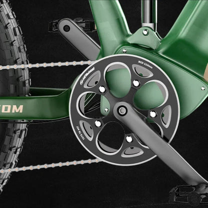 Electric Bike SR6 750W motor 48V16AH Battery Adult Electric Bicycle Hydraulic Brake 26 Inch Fat Tire mountainoff-road E-bike Ai-TechWorld 