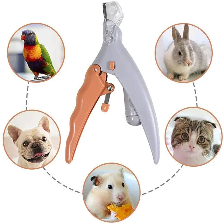 Professional Pet Nail Clipper Scissors With LED Light Cat Dog Nail Clippers Tool Scissors Nail Toeclaw Cutter Scissors Pet Suppl Ai-TechWorld 