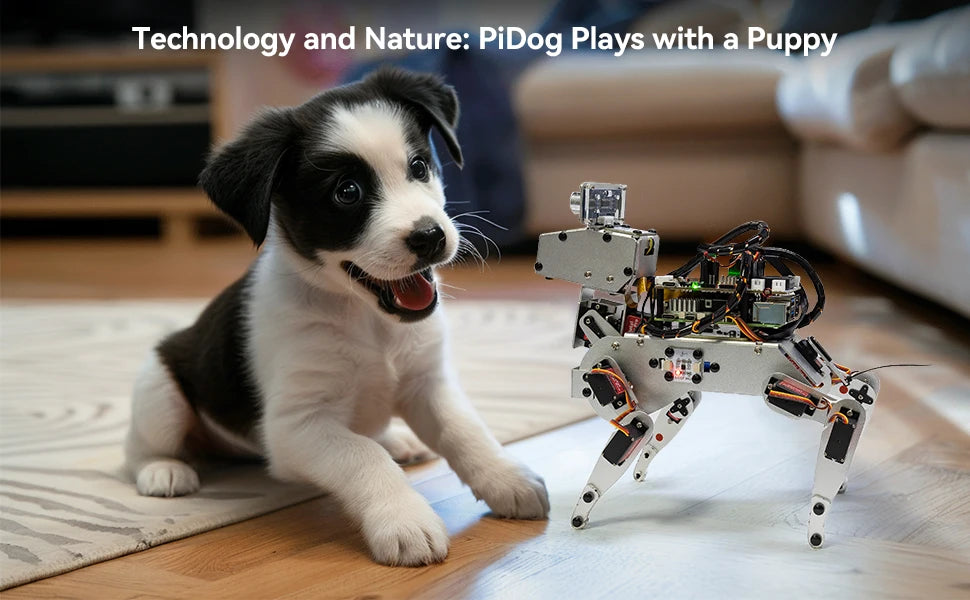 SunFounder PiDog AI Robot Dog Kit for Raspberry Pi 5/4/3B+/3B/Zero 2(Not included)LLMs ChatGPT-4o/Gemini/Grok,App Control Ai-TechWorld 