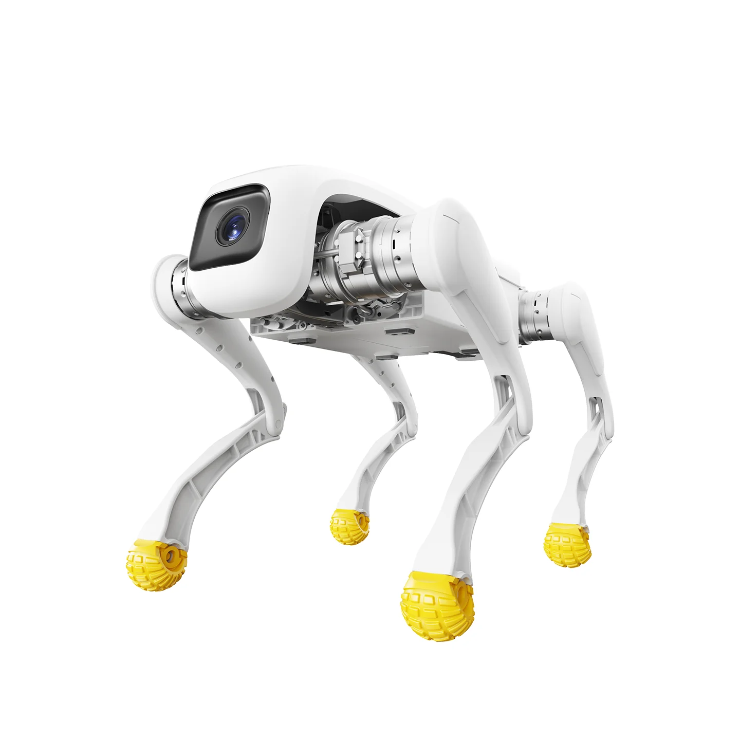 AgiBot D1 series quadruped robot, robot dog Ai-TechWorld 