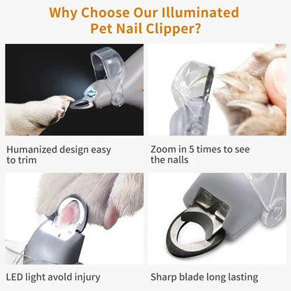 Professional Pet Nail Clipper Scissors With LED Light Cat Dog Nail Clippers Tool Scissors Nail Toeclaw Cutter Scissors Pet Suppl Ai-TechWorld 