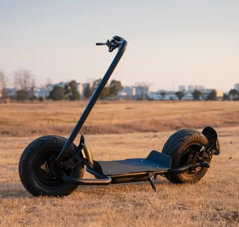 Qiaozhi Newest Design Big Two Wheels Fat Tyre Citycoco 1500W Max Disc Brake Electric Scooters Steel Frame Ai-TechWorld 