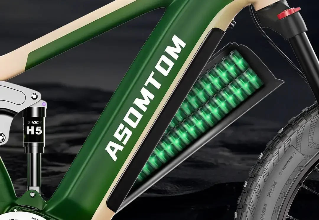 Electric Bike SR6 750W motor 48V16AH Battery Adult Electric Bicycle Hydraulic Brake 26 Inch Fat Tire mountainoff-road E-bike Ai-TechWorld 