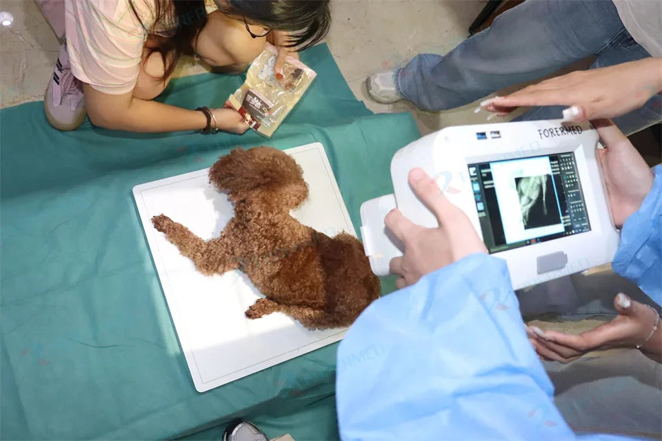 Mini Portable X Ray Machine Veterinary X Ray Machine Vet Digital X-ray Inspection Machine For Dog Cat Ai-TechWorld 