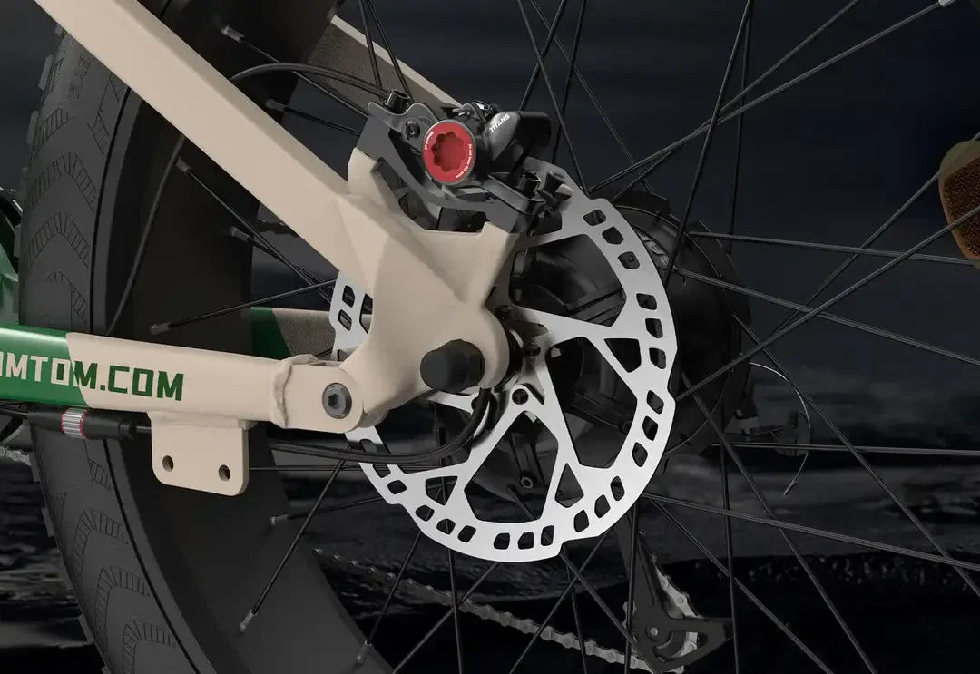 Electric Bike SR6 750W motor 48V16AH Battery Adult Electric Bicycle Hydraulic Brake 26 Inch Fat Tire mountainoff-road E-bike Ai-TechWorld 