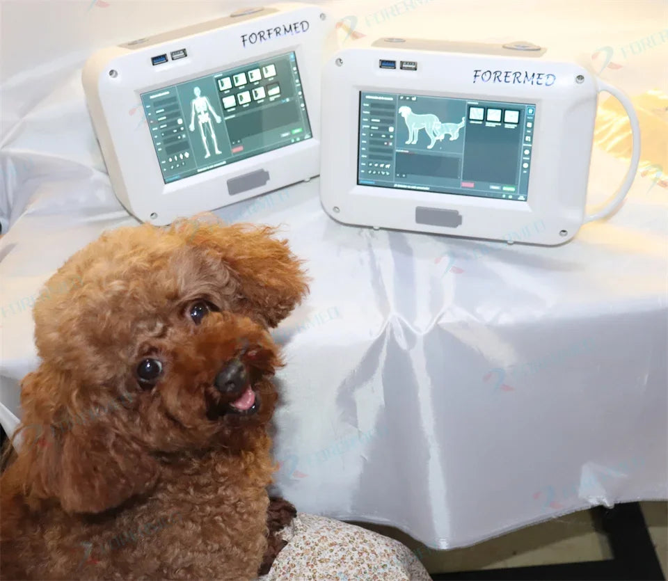 Mini Portable X Ray Machine Veterinary X Ray Machine Vet Digital X-ray Inspection Machine For Dog Cat Ai-TechWorld 