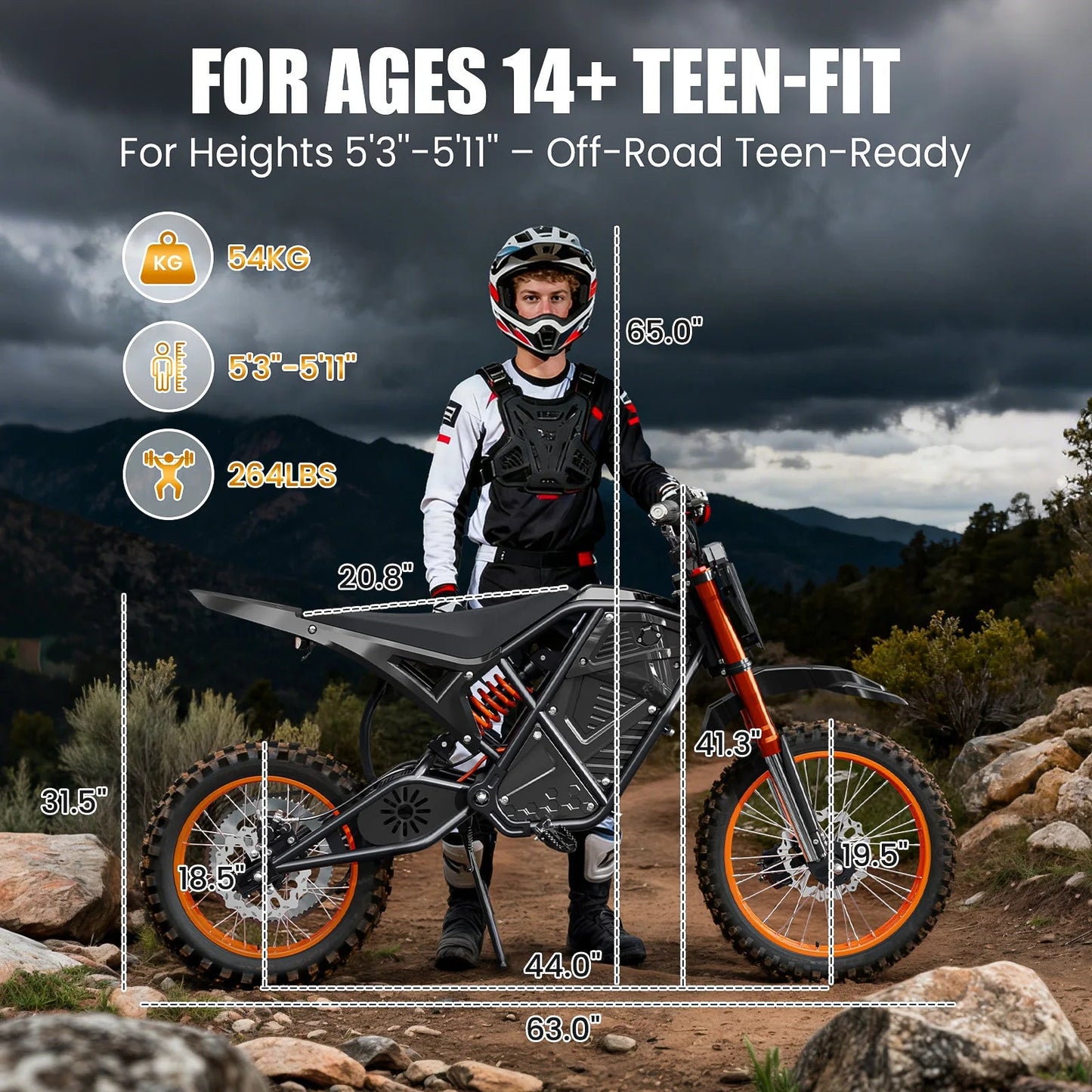Electric Dirt Bike for Adults, 48V 3000W Peak Power Electric Motorcycle with 14"/12" Fat Tire, 37.5MPH Mountain Off-Road Ebike Ai-TechWorld 