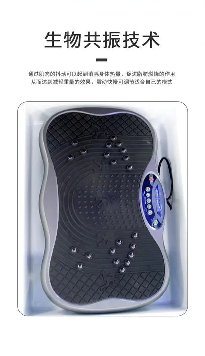 lhy 26 ss 26 Biological Resonance Energy Cabin Graphene Massage Far Infrared Space Capsule Moxibustion Sweat Steaming Cabin Deto Ai-TechWorld 