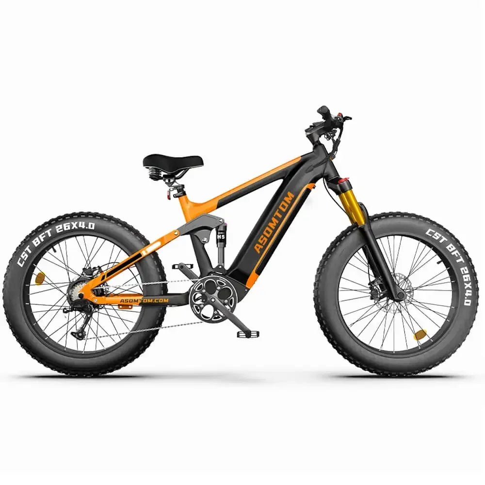 Electric Bike SR6 750W motor 48V16AH Battery Adult Electric Bicycle Hydraulic Brake 26 Inch Fat Tire mountainoff-road E-bike Ai-TechWorld 