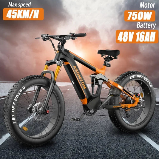 Electric Bike SR6 750W motor 48V16AH Battery Adult Electric Bicycle Hydraulic Brake 26 Inch Fat Tire mountainoff-road E-bike Ai-TechWorld 