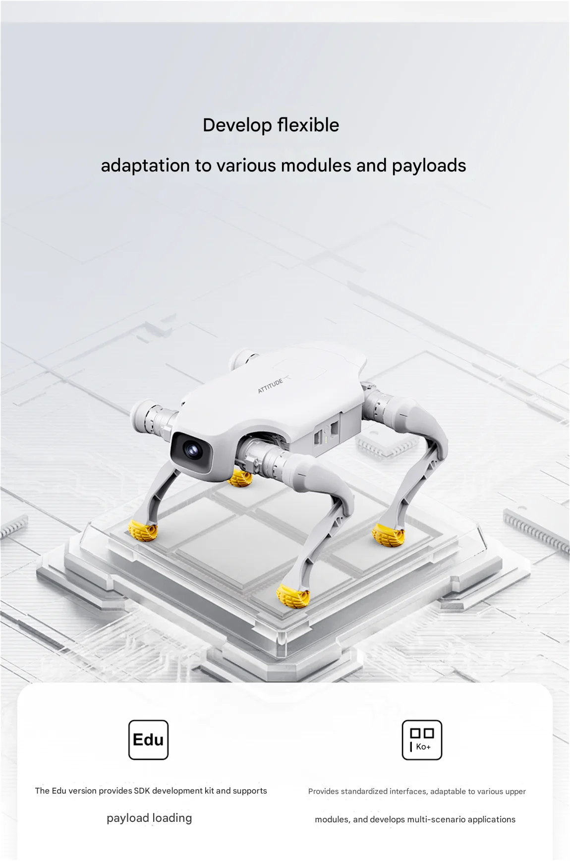 AgiBot D1 series quadruped robot, robot dog Ai-TechWorld 