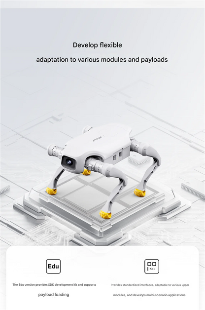 AgiBot D1 series quadruped robot, robot dog Ai-TechWorld 