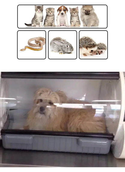 Professional Auto Adjustable Clinic Care  Hyperbaric Oxygen Chamber Animal Health Incubator with CE Ai-TechWorld 