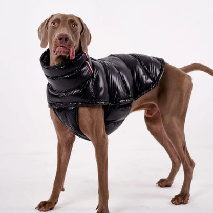 S-2XL Large Dog Winter Thick Down Coat High Collar Warm Windproof Adjustable Pet Clothes 2 Legged Padded Dog Jacket Vest Ai-TechWorld 