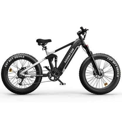 Electric Bike SR6 750W motor 48V16AH Battery Adult Electric Bicycle Hydraulic Brake 26 Inch Fat Tire mountainoff-road E-bike Ai-TechWorld 