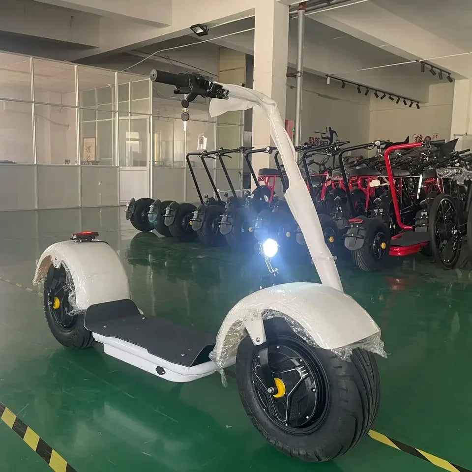 Qiaozhi Newest Design Big Two Wheels Fat Tyre Citycoco 1500W Max Disc Brake Electric Scooters Steel Frame Ai-TechWorld 