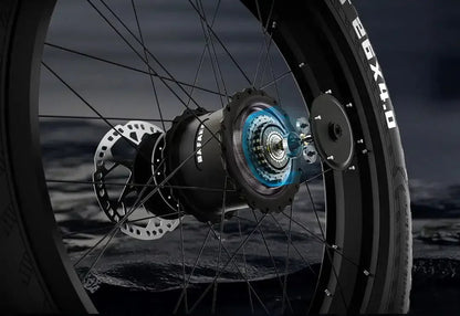 Electric Bike SR6 750W motor 48V16AH Battery Adult Electric Bicycle Hydraulic Brake 26 Inch Fat Tire mountainoff-road E-bike Ai-TechWorld 