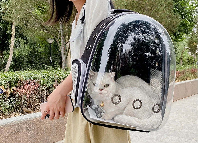 Pet Cat Carrying Bag Space Pet Backpacks Breathable Portable Transparent Backpack Puppy Dog Transport Carrier Space Capsule Bags Ai-TechWorld 