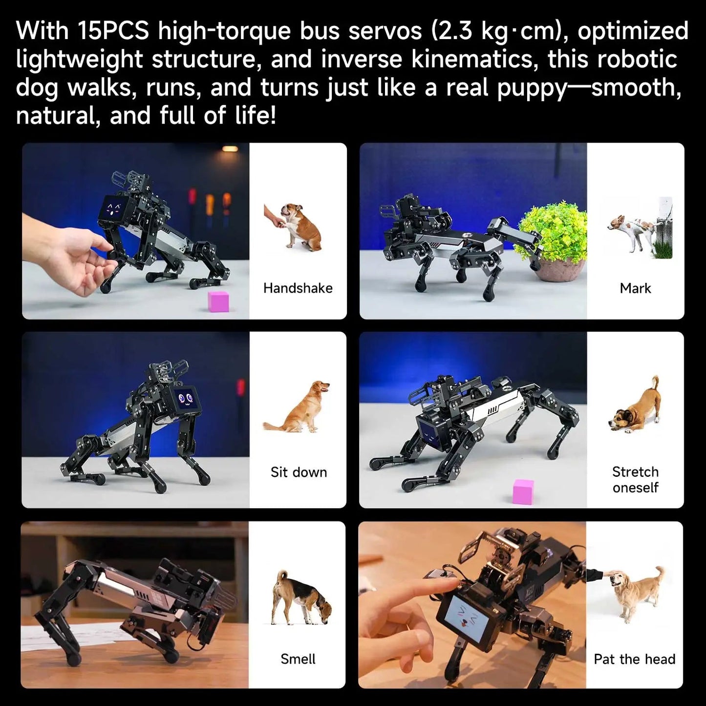 Yahboom Quadruped Robot Dog Bionic Intelligent Programming AI Large Model with Robotic Arm Powered by Raspberry Pi CM5 Module Ai-TechWorld 