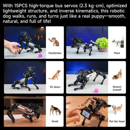 Yahboom Quadruped Robot Dog Bionic Intelligent Programming AI Large Model with Robotic Arm Powered by Raspberry Pi CM5 Module Ai-TechWorld 