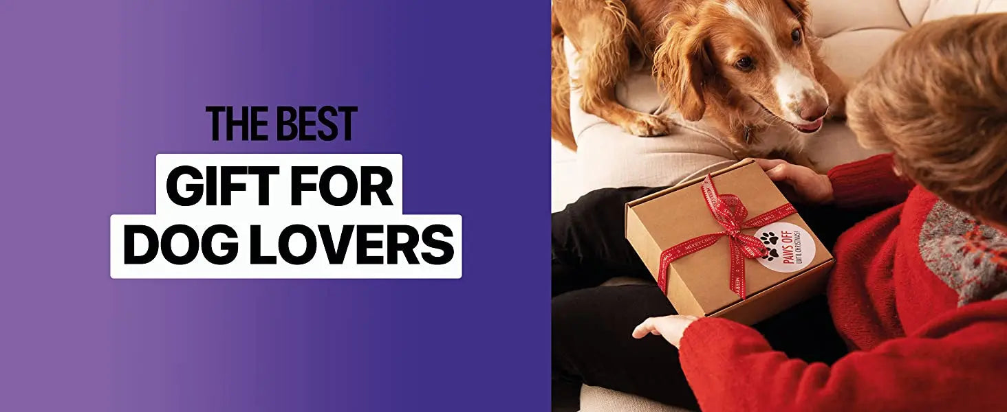 2023 Release Pet Dog Repeller Ultrasonic Dog Training Device Rechargeable Anti Dog Bark Deterrent Device With LED Flashlight Ai-TechWorld 