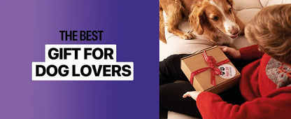 2023 Release Pet Dog Repeller Ultrasonic Dog Training Device Rechargeable Anti Dog Bark Deterrent Device With LED Flashlight Ai-TechWorld 