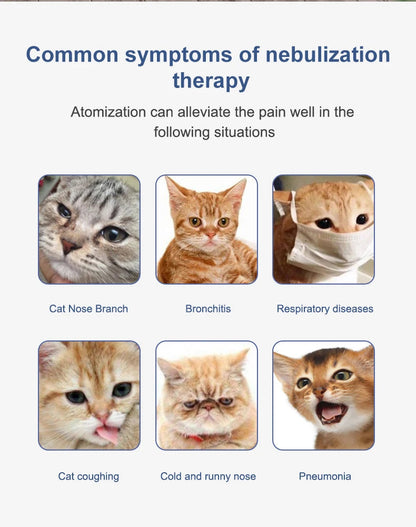 Professional Auto Adjustable Clinic Care  Hyperbaric Oxygen Chamber Animal Health Incubator with CE Ai-TechWorld 
