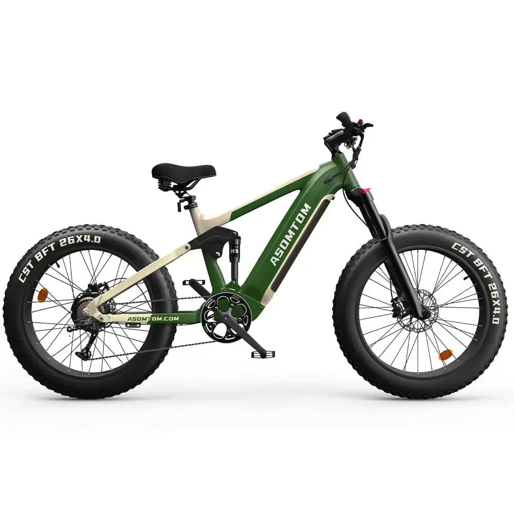 Electric Bike SR6 750W motor 48V16AH Battery Adult Electric Bicycle Hydraulic Brake 26 Inch Fat Tire mountainoff-road E-bike Ai-TechWorld 